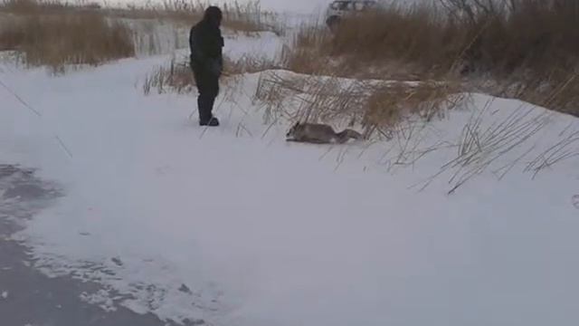 video 2014 12 11 15 26 41 смотреть онлайн