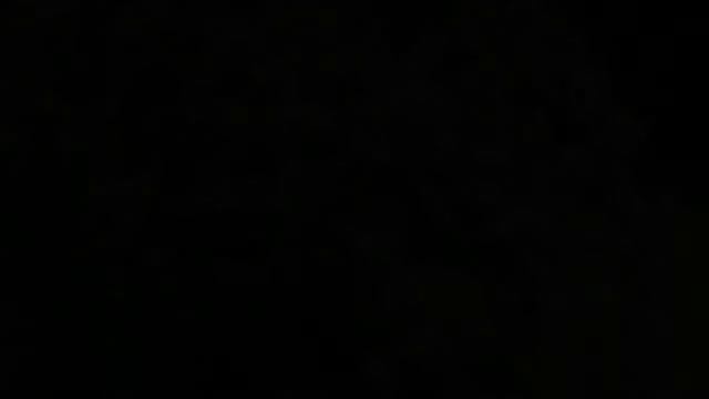 Уильям Шекспир - О внутренней красоте - Сонет 54 смотреть онлайн