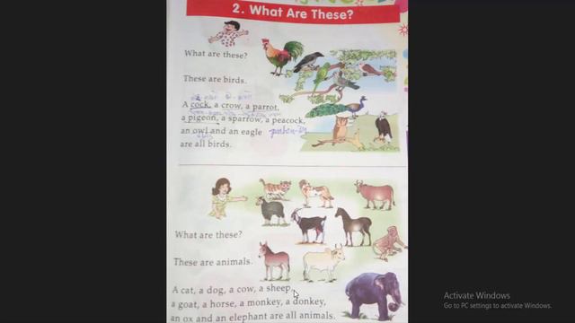 English Story 1 What Is This? What Are These? смотреть онлайн