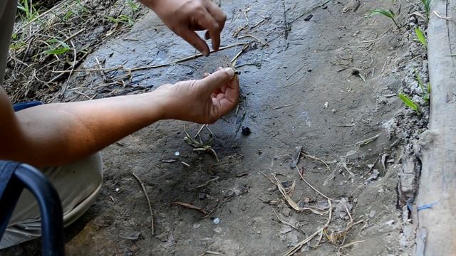 В проводку на рагуля. Увлекательная рыбалка. Река Десна. смотреть онлайн