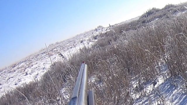 Охота на зайца -Заяц в броне смотреть онлайн