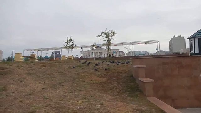 Уральск | голуби на крыше музея на новой площади смотреть онлайн