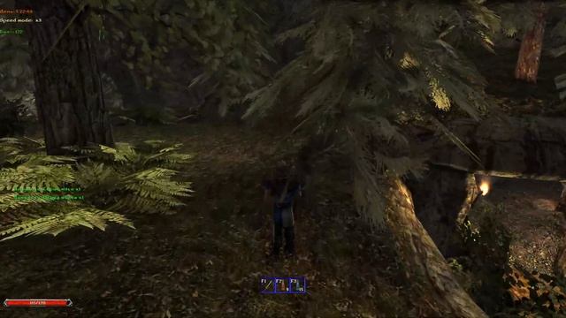 Gothic 2 Mod: Кузнец Безымянный #3 смотреть онлайн
