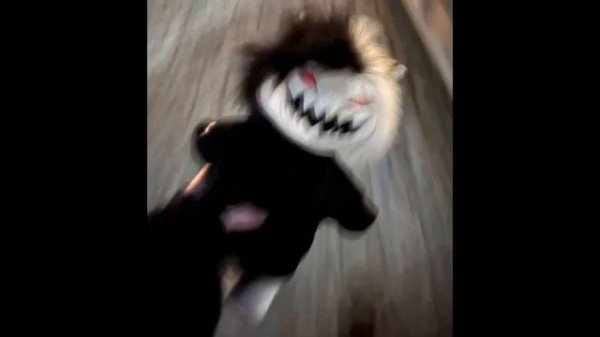 zxcursed - haunt (full)