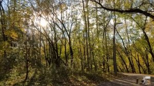 Богач купил бродяжку "на один ужин", а едва она узнала о том, что нужно делать, остолбенела от шока