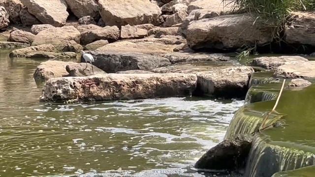 Израиль. Дюны. GoPro HERO10 Black моя новая экшен камера @ms.Birkin смотреть онлайн