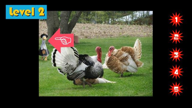 Find the Goose Game: Charlie & Turkeys - The Kids' Picture Show (Fun & Educational Learning Video) смотреть онлайн