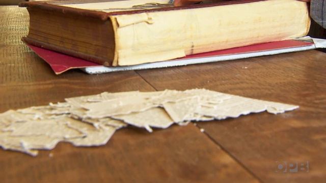 James Allen Turns Books Into Sculptures | Oregon Art Beat смотреть онлайн