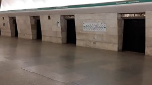 Станция метро Ломоносовская(Санкт-Петербург)