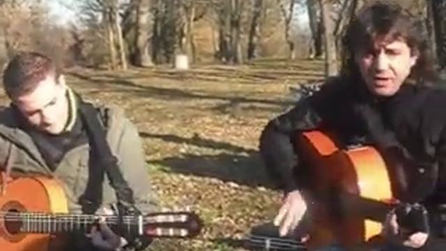 Rencontre flamenco rumba (2) смотреть онлайн
