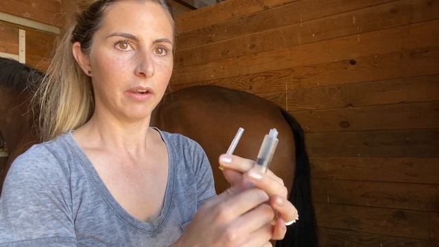 How To Administer IM Horse Vaccine In Butt Vs Neck смотреть онлайн