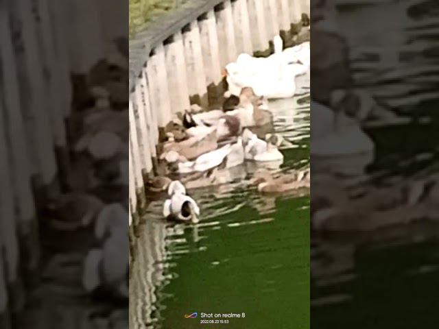 23 августа 2022 г. смотреть онлайн