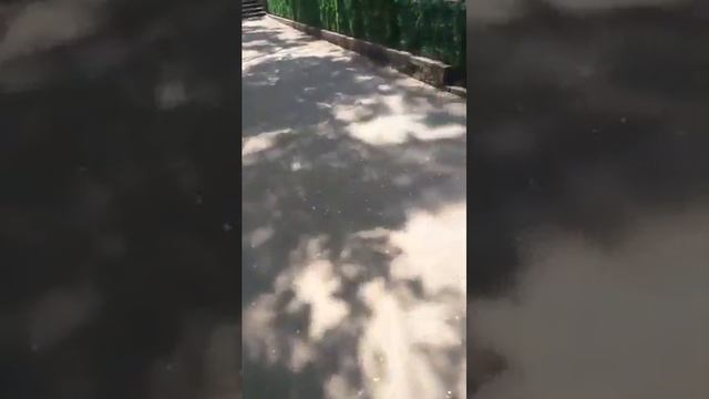 Полицейские готовы даже сопроводить в зоопарк 1 мая смотреть онлайн