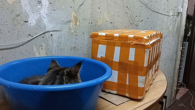 Попався! Касик №1