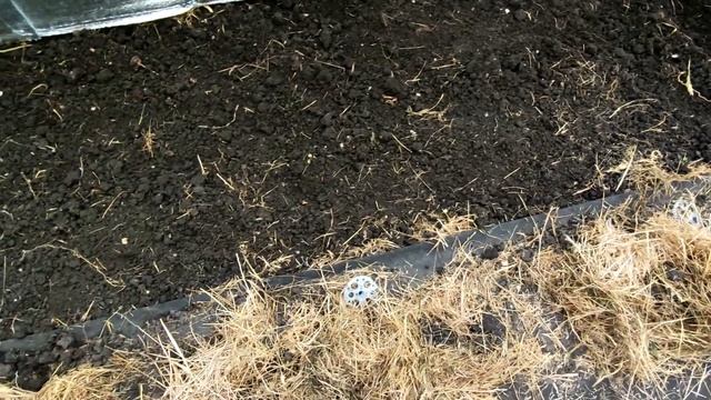??ТЕПЛИЦА В КОНЦЕ СЕНТЯБРЯ. ЧТО ЕЩЕ ПЛОДОНОСИТ. ВЫСАДКА ЛУКА НА ПЕРО В ТЕПЛИЦЕ смотреть онлайн