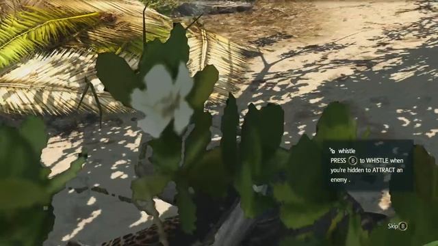 Assassin's Creed 4: Black Flag Easy Unlimited Money Glitch Tutorial (Ac4)