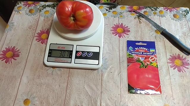 Дегустация : томат розовый бегемот смотреть онлайн