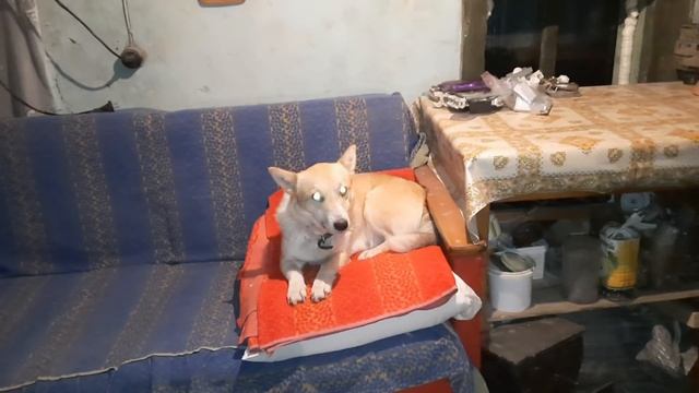 СЕГОДНЯ ЗАТОПИЛИ ПЕЧЬ и Заодно наварили еды )) смотреть онлайн