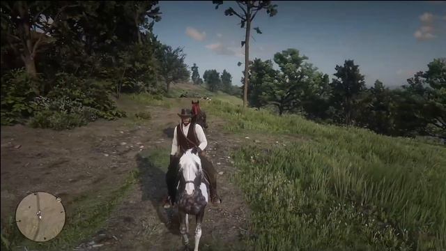 Red Dead Redemption 2 - Missouri Fox Trotter Liver Chestnut mod coat. смотреть онлайн