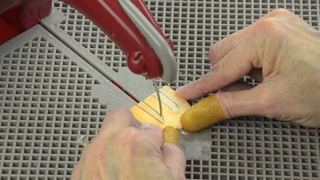 How to Use a Taurus 3 Ring Saw смотреть онлайн
