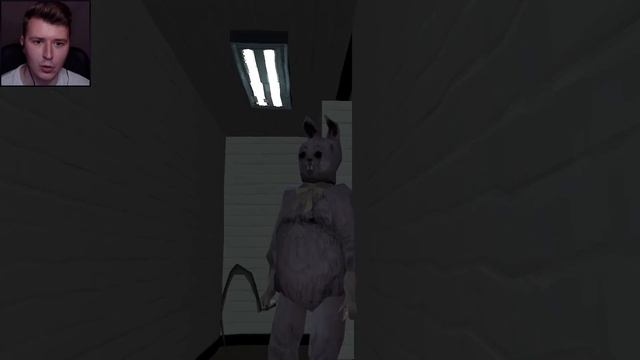 Не стоило мне фоткаться с зайцем… | Murder House пролог