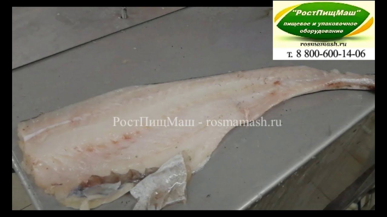 Обзор разделки минтая на филе на Машине ФМ-20 от РостПищМаш смотреть онлайн