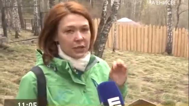 Прямое включение. В "Роевом ручье" стартует фестиваль "Весеннее настроение" смотреть онлайн