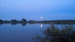 Ночь светла. Романс на стихи Леонида Граве