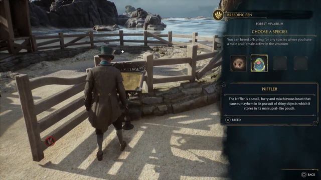 Hogwarts Legacy Dark Hufflepuff Gameplay Walkthrough Part 9 - Learning The Dark Arts смотреть онлайн