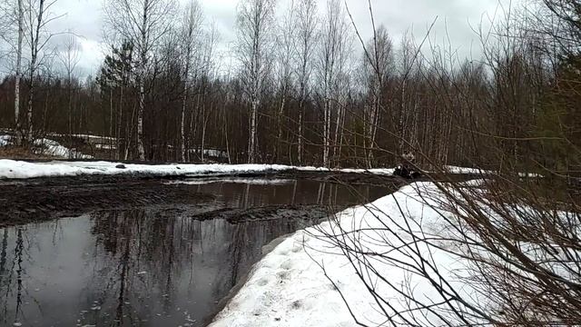 Трайк SR-32 light по весенней дороге смотреть онлайн