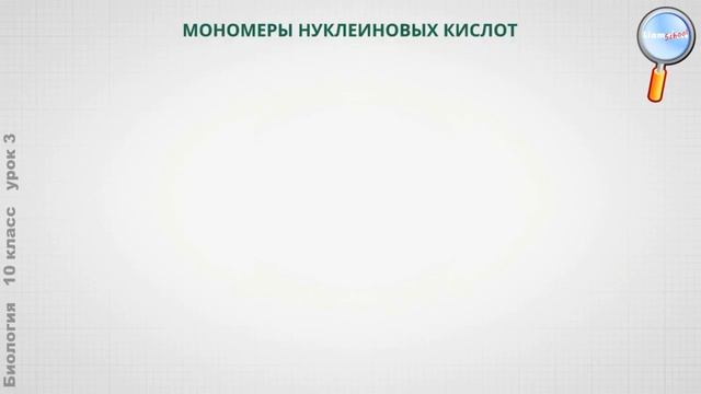Биология 10 класс (Урок№3 - Органические вещества. Белки и нуклеиновые кислоты, и их значение. АТФ. смотреть онлайн