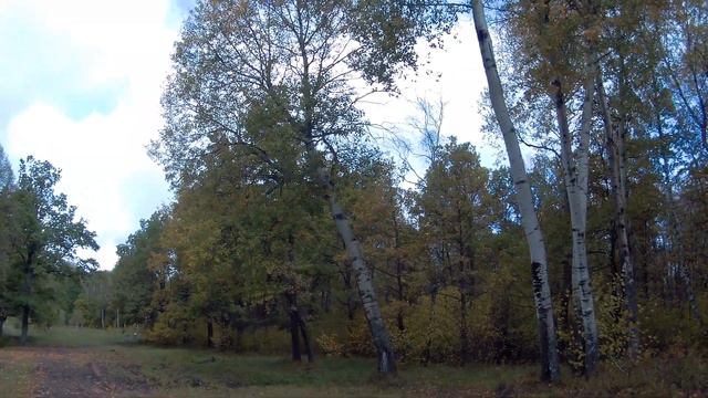 Одиночный пеший поход выходного дня в деревню Лысая Гора. День второй. 22 сентября 2019 года. смотреть онлайн