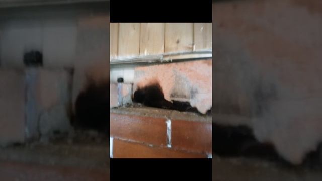 Ремонт топки печи? смотреть онлайн