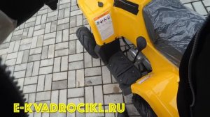 Квадроцикл в стиле Гризли 110 кубов Sharp доставка в МО