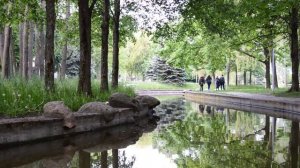 ТЁЩА И ЗЯТЬ – ПРОСНУЛИСЬ РЯДОМ. Реальные истории из жизни. Интересные аудио рассказы про тещу