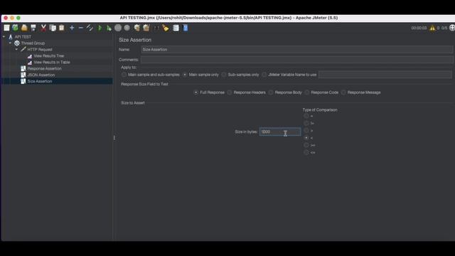 JMeter 7 : Duration & Size Assertions in JMeter смотреть онлайн