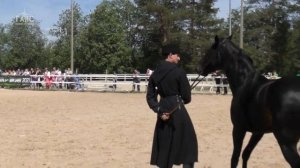 КАБАРДИНСКИЕ #лошади породный ринг #ИППОсфера 2021 Созвездие Шагди