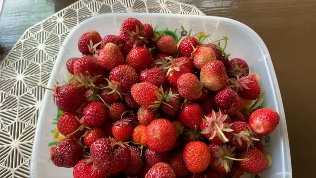 ВЛОГ/НЕМНОГО О БО ВСЕМ?/БОЛТАЮ О ЛЕНИ И ВОСПИТАНИИ ДЕТЕЙ смотреть онлайн