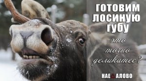 Лосиная губа под красным соусом!
