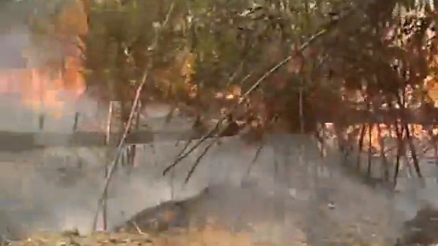 Лесной пожар в Ванинском районе смотреть онлайн