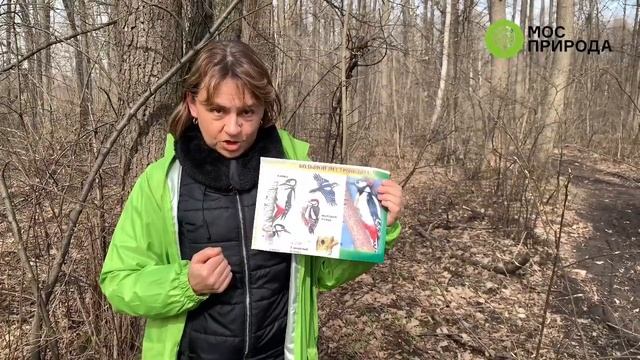 Терлецкий лесопарк ждет 