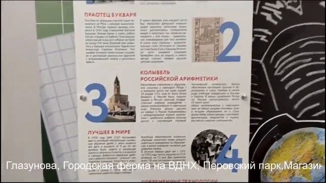 День знаний  МФЦ  Мои документы