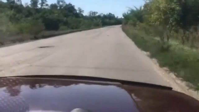 Дорога Сватово-Старобельск смотреть онлайн