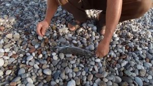 Береговая рыбалка в Турции! Фугу на джиг! Рокфишинг Алания 2020 Спиннинг на пляже! Средиземное море