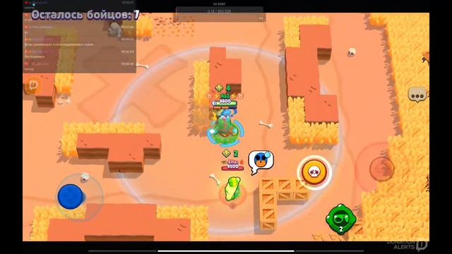 (ИШИМ ТИМУ)ПУШ 60к КУПКОВ /СТРИМ ПО BS #стрим #bralwlstars #бравлстарс смотреть онлайн