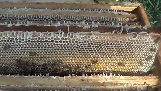 Майский мёд 2021 смотреть онлайн