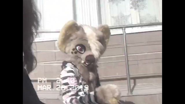 Первый выгул Двойки | Выгул фурсьюта | Fursuit walking | First walking смотреть онлайн