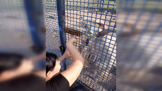 любовь зла или любовь с первого взгляда смотреть онлайн