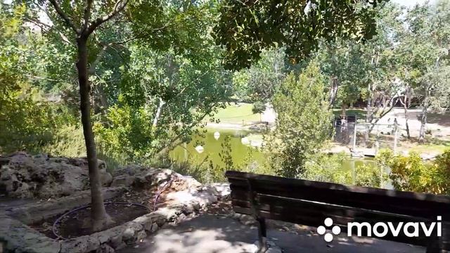 Иерусалимский библейский зоопарк. смотреть онлайн