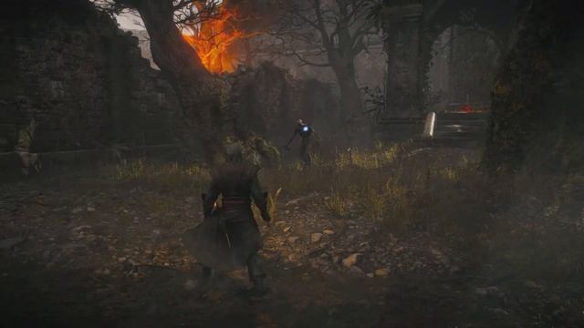 Demon's Souls PS5 2020 Custom Filters Insane Graphics смотреть онлайн
